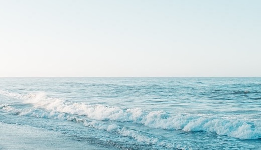 テントのカビ取り・再発防止ガイド