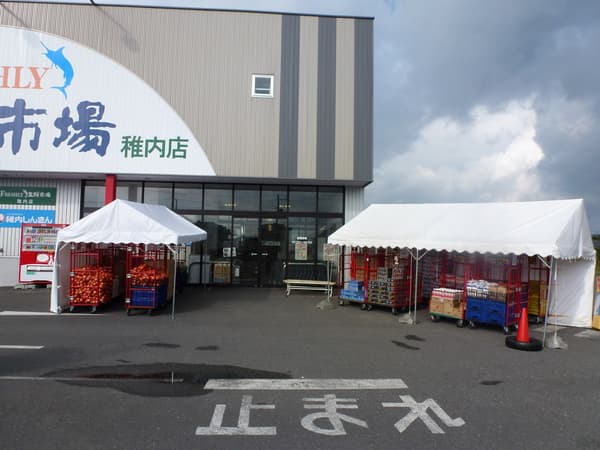 有限会社 山英 小新商店様 イベント集会テント(定番品)軒高200cmで設営した事例