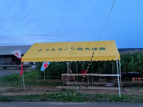 とうもろこし巨大迷路様 イベント集会テント(定番品)軒高180cmで設営した事例