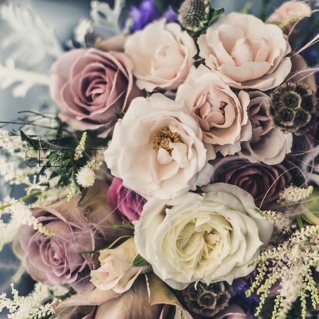 バラの花