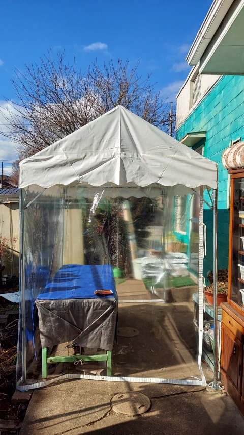 イベント集会テント(定番品)軒高200cm