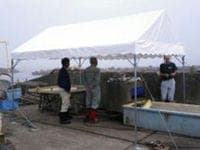 イベント集会テント(定番品)軒高200cm