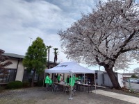 イージーアップテント デラックスシリーズ(アルミ)