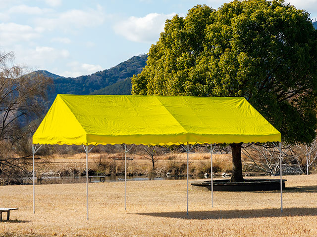 レモンイエロー