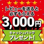 レビュー投稿で3000円キャッシュバックプレゼント